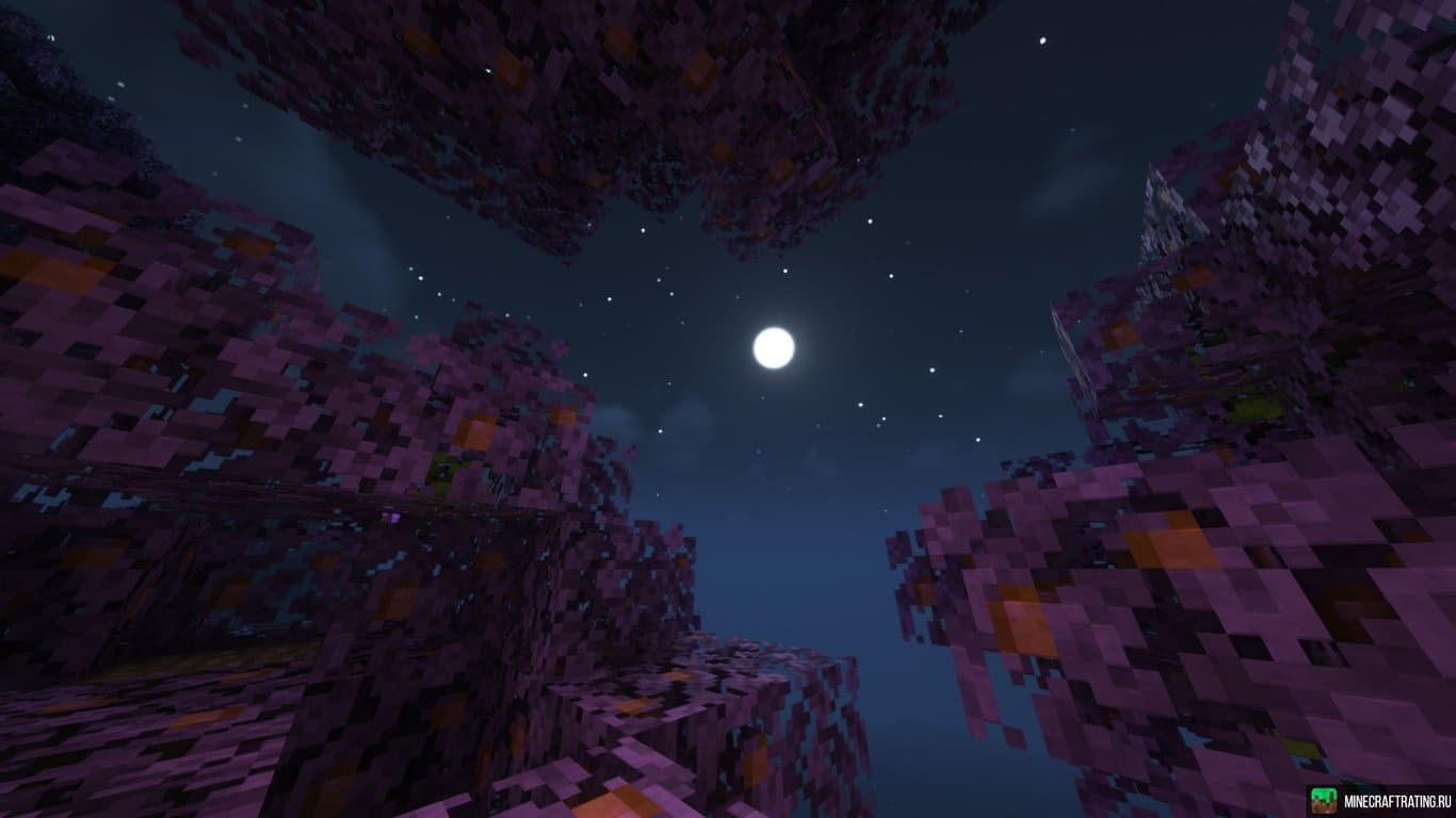 server img