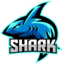 SHARKCRAFT NETWORK [1.16 - 1.21]
     ¡Nueva modalidad HORIZONTES ya disponible!