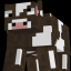 A Minecraft Server