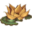 Lotus CoveVanilla +
