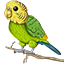 ✦ Budgie Network ✦
     Survival ◇ SkyGrid ◇ Skyblock ◇ Creative