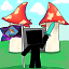 A Minecraft Server