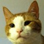 CatsCraft.net                                    ■ Creative ▚ Minigames ▞ Survival ■