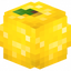 LEMON³ - Semi-Vanilla SMP Survival - [1.21.1+]Freshly Picked and Frequently Recubed