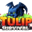 ||||||||| TulipSurvival.com | Now on 1.21 |||||||||
                Friendly Survival server!